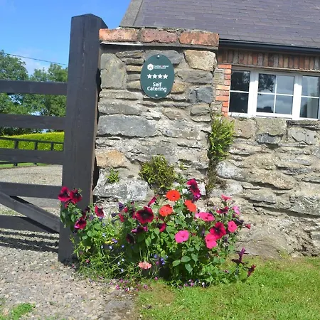 Sally Gardens Cottage Downpatrick Exterior photo