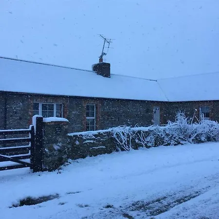 Sally Gardens Cottage Downpatrick Exterior photo