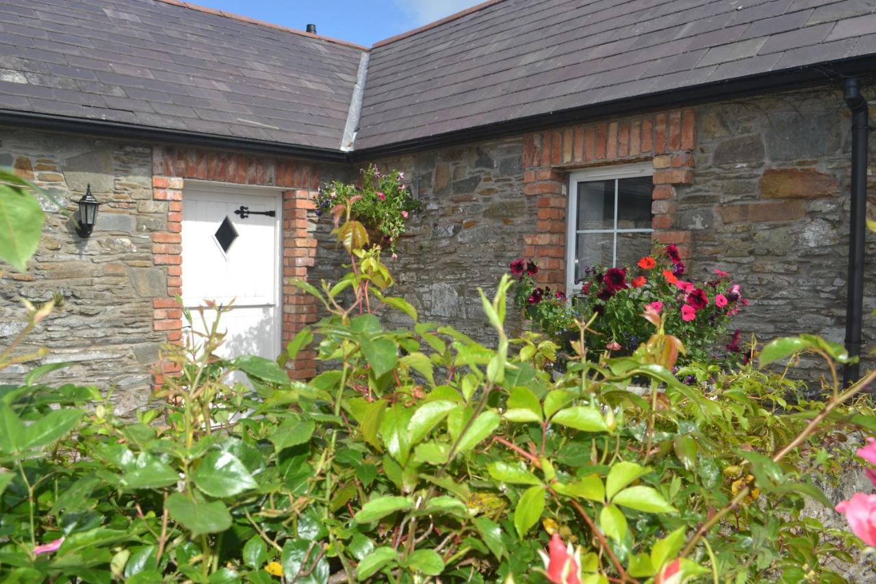 Sally Gardens * Downpatrick